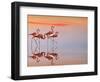 Untitled-Anna Cseresnjes-Framed Photographic Print