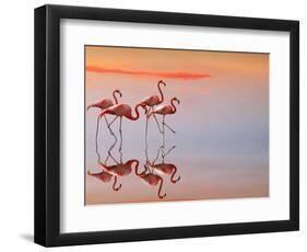 Untitled-Anna Cseresnjes-Framed Photographic Print