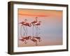 Untitled-Anna Cseresnjes-Framed Photographic Print