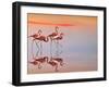 Untitled-Anna Cseresnjes-Framed Photographic Print