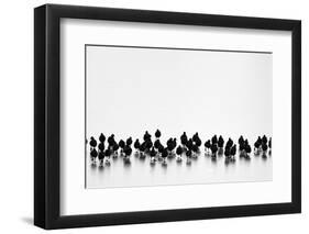 Untitled-Yordan Vasilev-Framed Photographic Print