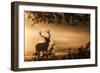 Untitled-Radojica Jevric Fotorax-Framed Photographic Print