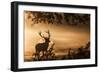 Untitled-Radojica Jevric Fotorax-Framed Photographic Print