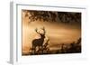 Untitled-Radojica Jevric Fotorax-Framed Photographic Print