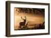 Untitled-Radojica Jevric Fotorax-Framed Photographic Print