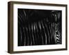 Untitled-Antonio Grambone-Framed Photographic Print