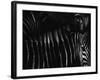 Untitled-Antonio Grambone-Framed Photographic Print