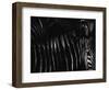 Untitled-Antonio Grambone-Framed Photographic Print