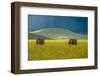 Untitled-null-Framed Photographic Print