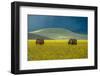 Untitled-null-Framed Photographic Print