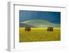 Untitled-null-Framed Photographic Print