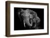 Untitled-Vedran Vidak-Framed Photographic Print