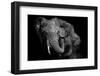 Untitled-Vedran Vidak-Framed Photographic Print