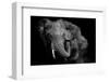 Untitled-Vedran Vidak-Framed Photographic Print