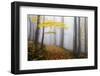 Untitled-Martin Rak-Framed Photographic Print