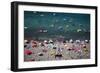 Untitled-Lorenzo Grifantini-Framed Photographic Print