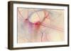 Untitled-Rica Belna-Framed Giclee Print