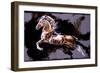 Untitled-Marta Gottfried-Framed Giclee Print