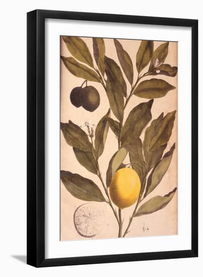 Untitled-null-Framed Giclee Print