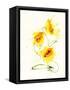 Untitled-PC Ngo-Framed Stretched Canvas