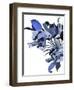 Untitled-Hiroyuki Izutsu-Framed Giclee Print