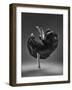 Untitled-Rob Li-Framed Photographic Print