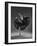 Untitled-Rob Li-Framed Photographic Print