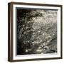 Untitled-Rica Belna-Framed Giclee Print