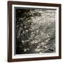 Untitled-Rica Belna-Framed Premium Giclee Print