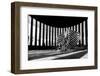 Untitled-Shay Lev Ari-Framed Photographic Print