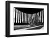 Untitled-Shay Lev Ari-Framed Photographic Print