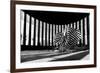 Untitled-Shay Lev Ari-Framed Photographic Print