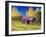 Untitled-Anthony Rule-Framed Giclee Print