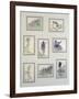 Untitled-Yolanda Sonnabend-Framed Giclee Print