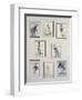 Untitled-Yolanda Sonnabend-Framed Giclee Print