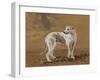 Untitled-Francesca Sanders-Framed Giclee Print