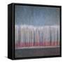 Untitled-Lincoln Seligman-Framed Stretched Canvas