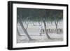 Untitled-Lincoln Seligman-Framed Giclee Print