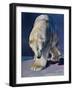 Untitled-Mark Adlington-Framed Giclee Print