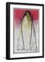 Untitled-Didier Gaillard-Framed Giclee Print