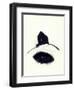 Untitled-Didier Gaillard-Framed Giclee Print