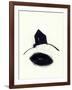 Untitled-Didier Gaillard-Framed Giclee Print