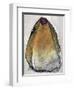 Untitled-Didier Gaillard-Framed Giclee Print