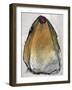 Untitled-Didier Gaillard-Framed Giclee Print