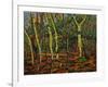 Untitled-Noel Paine-Framed Giclee Print