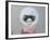 Untitled-Susan Adams-Framed Giclee Print