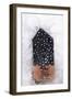 Untitled-Didier Gaillard-Framed Giclee Print