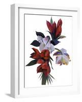 Untitled-Hiroyuki Izutsu-Framed Giclee Print