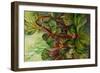 Untitled-jocasta shakespeare-Framed Giclee Print