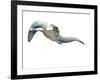 Untitled-Mark Adlington-Framed Giclee Print